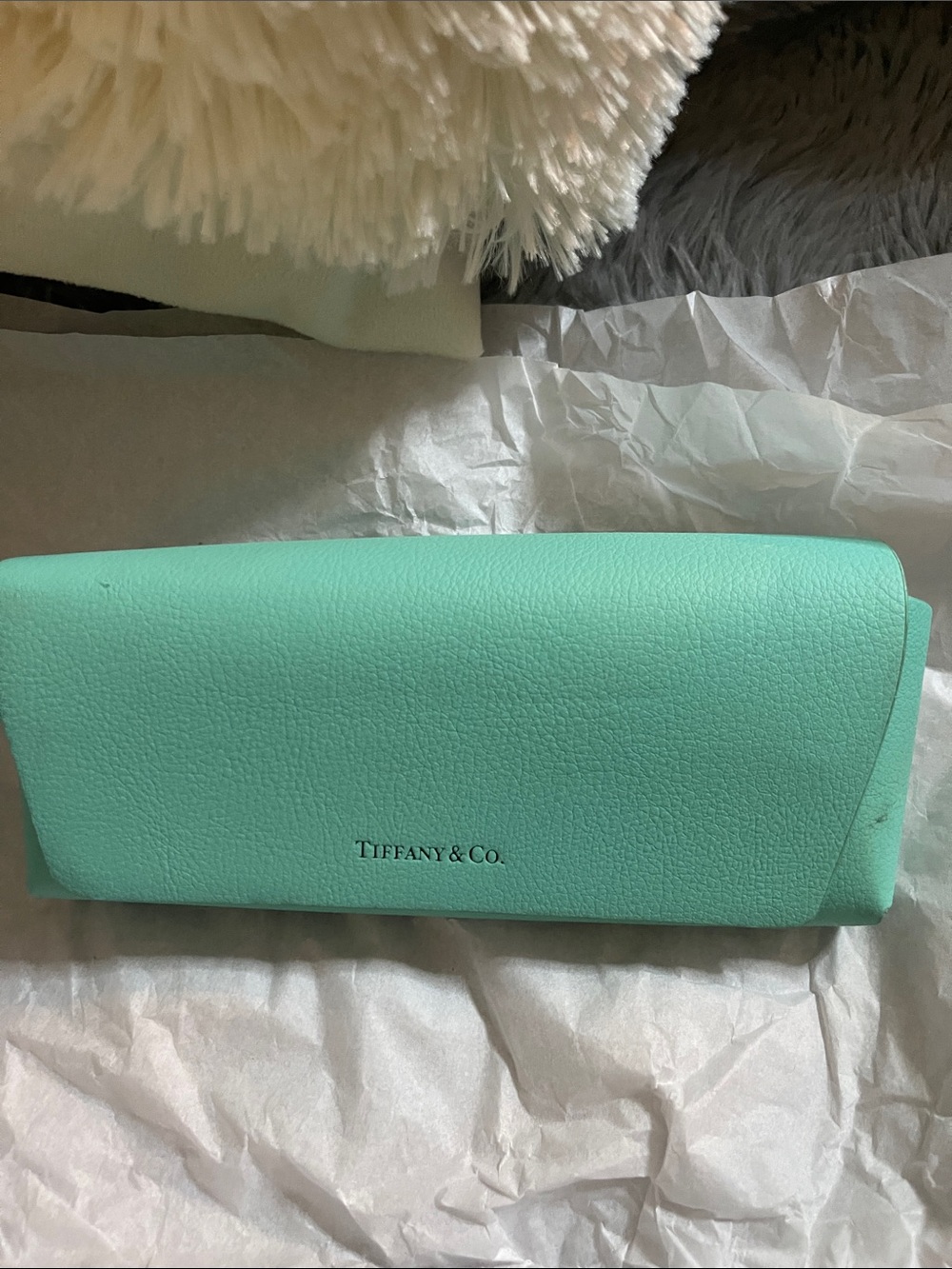 Tiffany & Co. Aqua Blue Eyewear Case